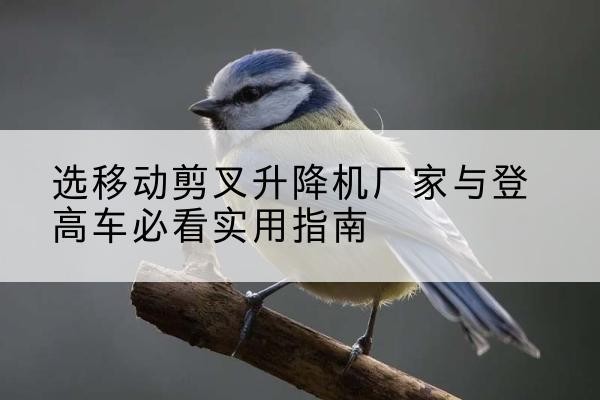 白山电动升降机厂家-选移动剪叉升降机厂家与登高车必看实用指南