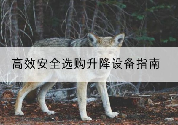 白山升降货梯厂家推荐-*安全选购升降设备指南