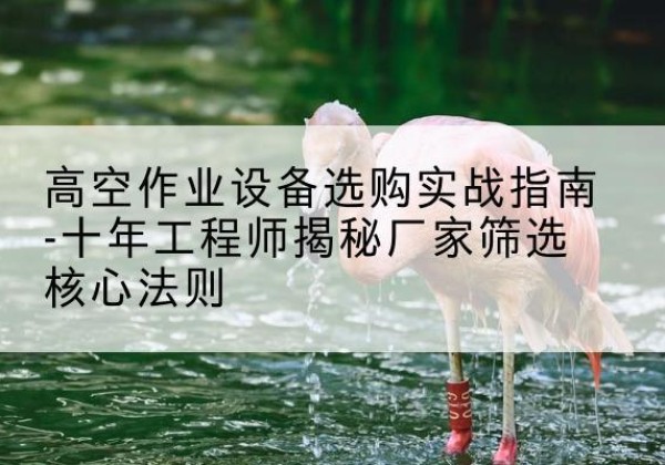 白山剪叉式升降机厂家-高空作业设备选购实战指南-十年工程师揭秘厂家筛选核心法则